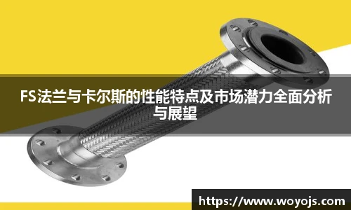 威廉体育FS法兰与卡尔斯的性能特点及市场潜力全面分析与展望